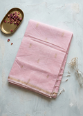 Valencia Cotton Saree